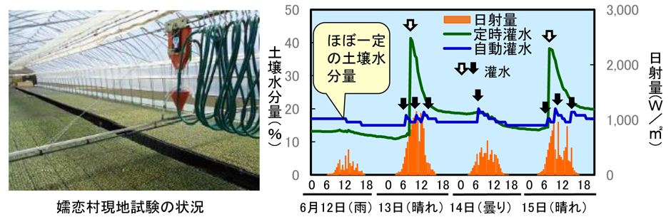 自動灌水システムの稼働状況、土壌水分の遷移